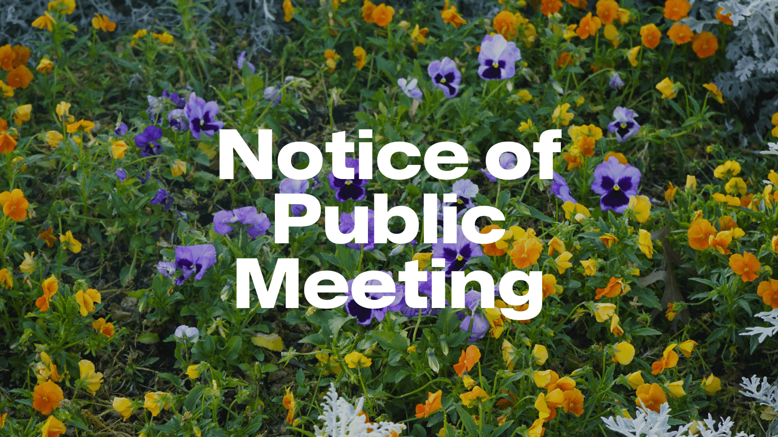 Generic Notice of Public Meeting 5.png